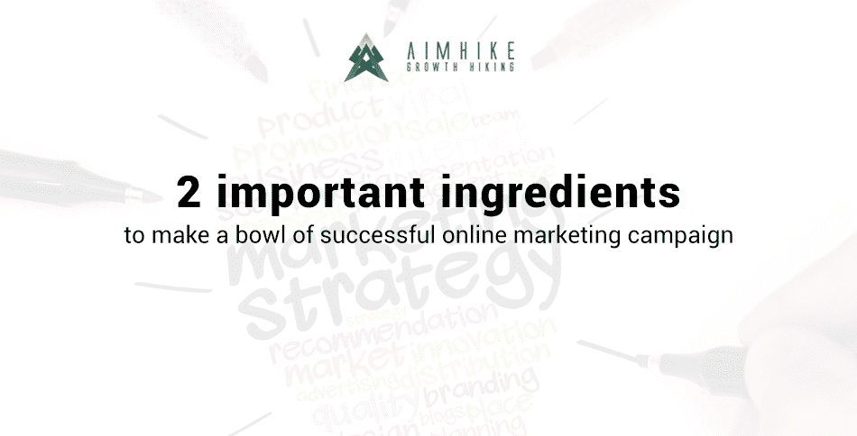 2 important ingredients to make a bowl of successful online marketing campaign